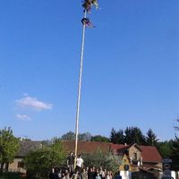 stavění májky a pálení čarodejnic 30.4.2014