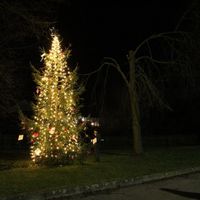 Štědrý den 24.12.2014