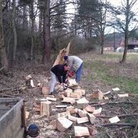 brigáda na dřevo pro pí Vohradskou 4.4.2015
