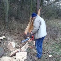 brigáda na dřevo pro pí Vohradskou 4.4.2015