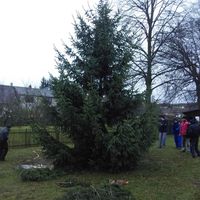 zdobení vánočního stromku 29.11.2015