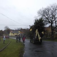 zdobení vánočního stromku 29.11.2015