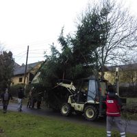 zdobení vánočního stromku 29.11.2015