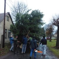zdobení vánočního stromku 29.11.2015