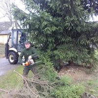 zdobení vánočního stromku 29.11.2015