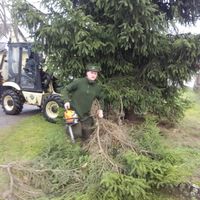 zdobení vánočního stromku 29.11.2015