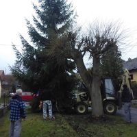 zdobení vánočního stromku 29.11.2015