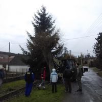 zdobení vánočního stromku 29.11.2015