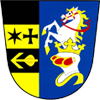 Primary Raster logo